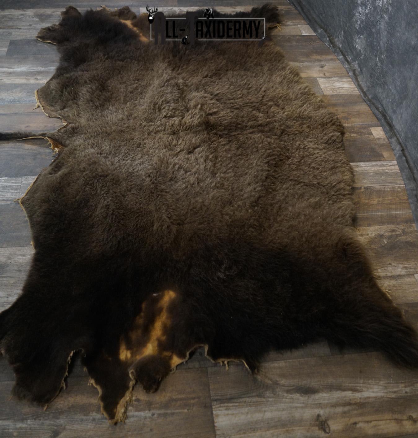 Back 1/2 Bison Hide-robe taxidermy for sale SKU 2166 - Image 5