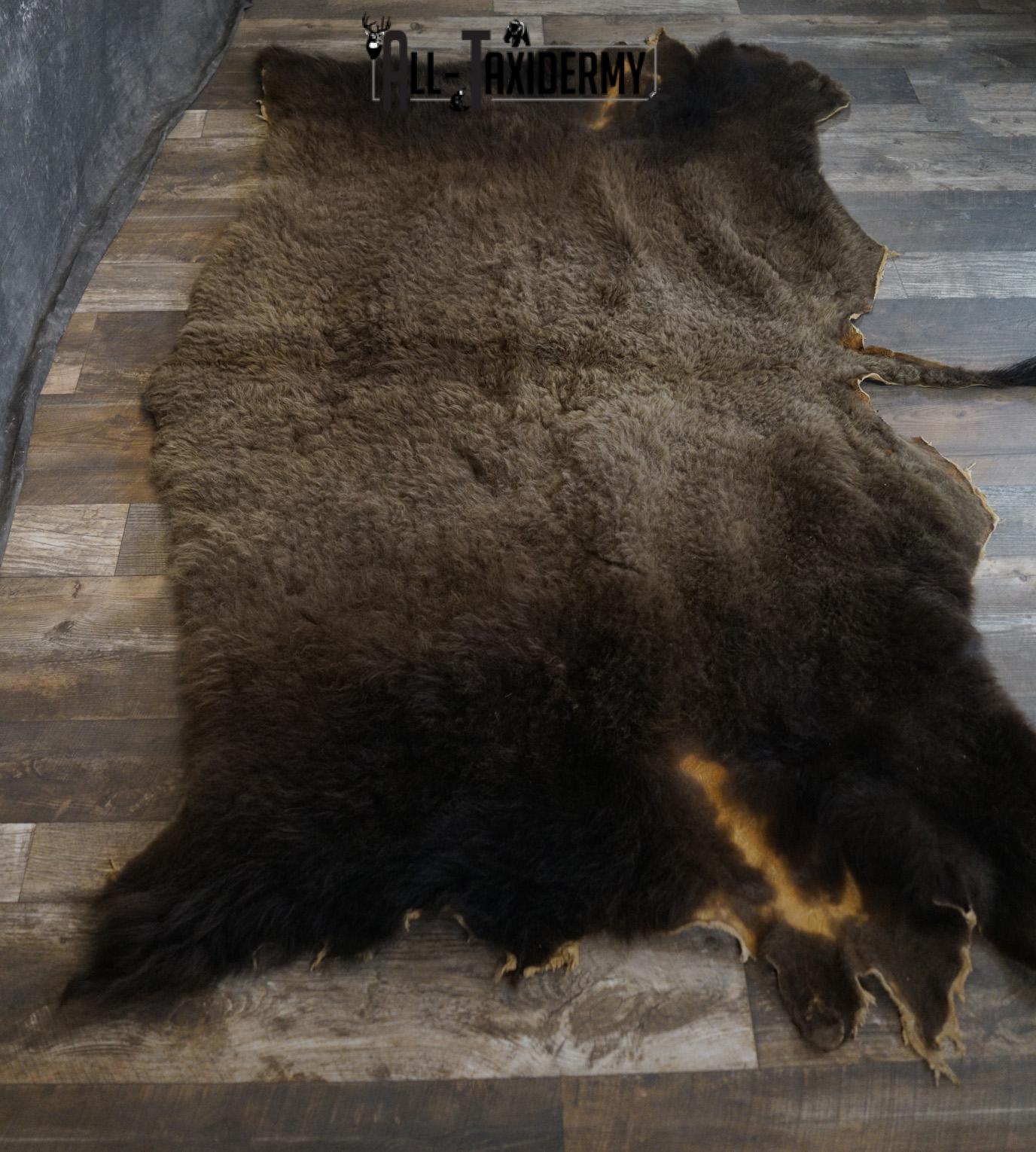 Back 1/2 Bison Hide-robe taxidermy for sale SKU 2166 - Image 3