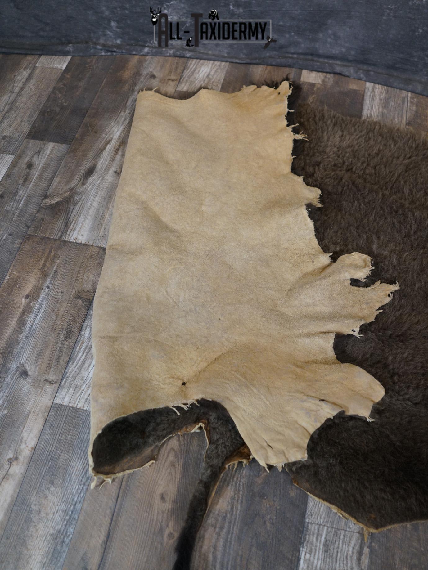 Back 1/2 Bison Hide-robe taxidermy for sale SKU 2166 - Image 2