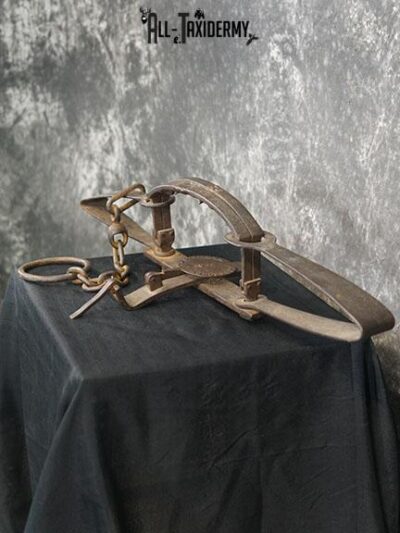 Newhouse Kenwood #5 Bear Trap SKU 2231