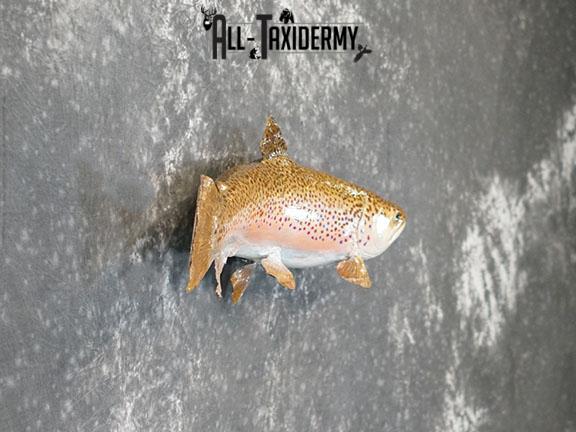 28" Steelhead Trout taxidermy mount SKU 2228 - Image 3