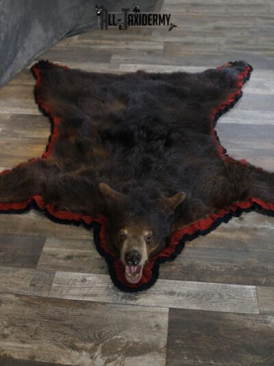 Black bear taxidermy rug SKU 2233