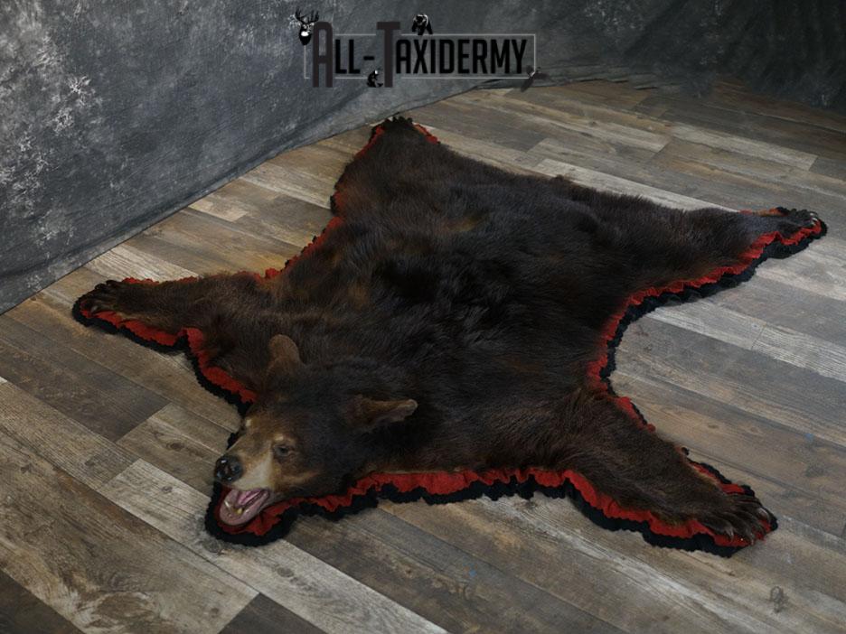 Black bear taxidermy rug SKU 2233 - Image 2