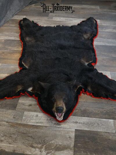 Black bear taxidermy rug SKU 2235