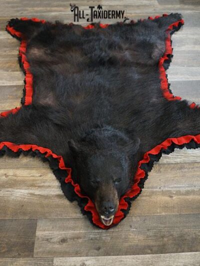 Black bear taxidermy rug SKU 2268