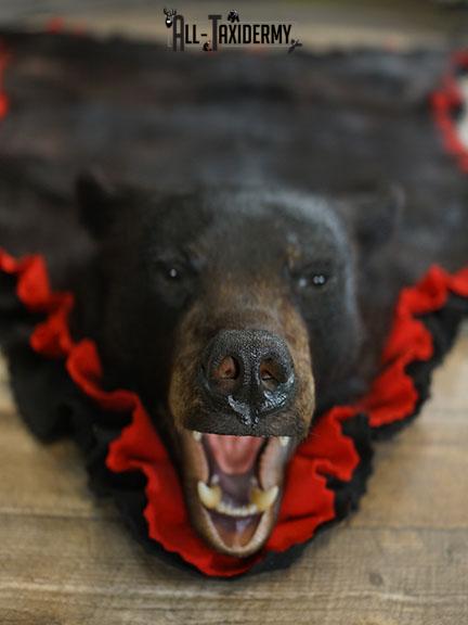 Black bear taxidermy rug SKU 2268 - Image 6