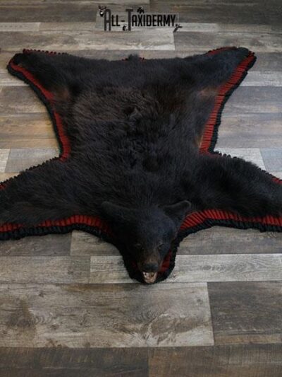 Black bear rug taxidermy mount SKU 2330