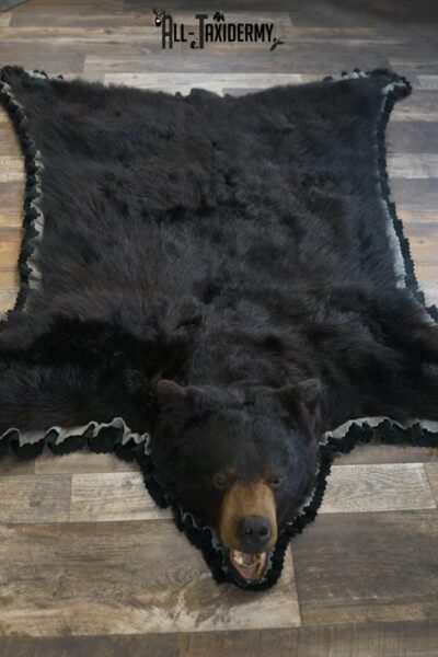 XL Black bear rug taxidermy mount SKU 2347