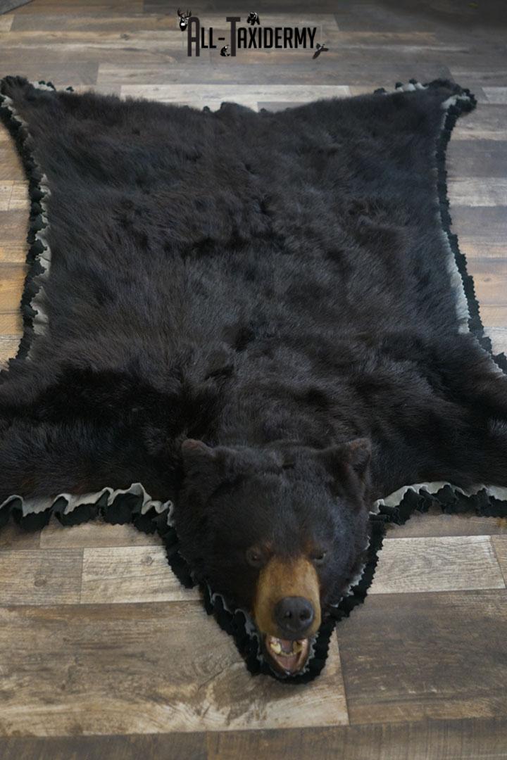 XL Black bear rug taxidermy mount SKU 2347
