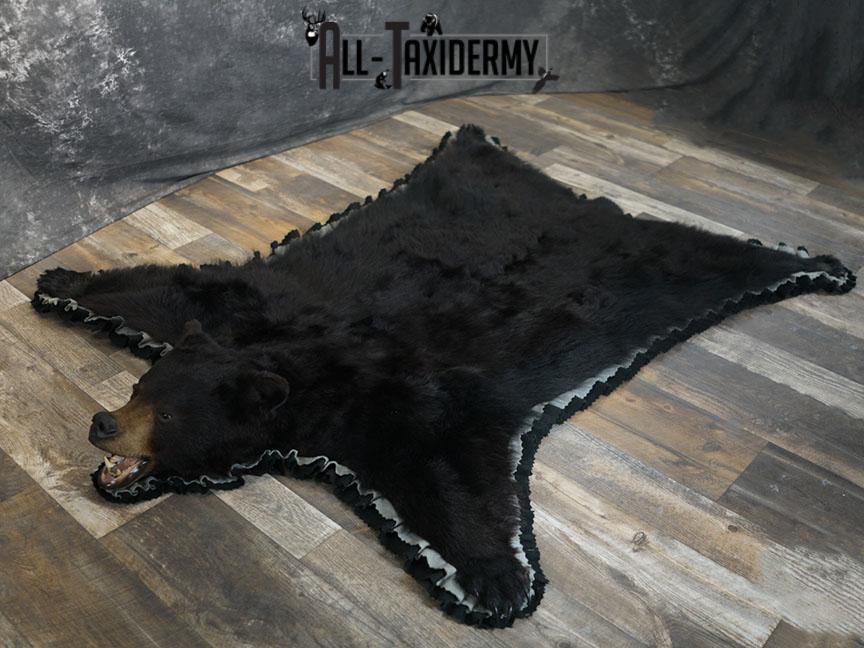 XL Black bear rug taxidermy mount SKU 2347 - Image 2