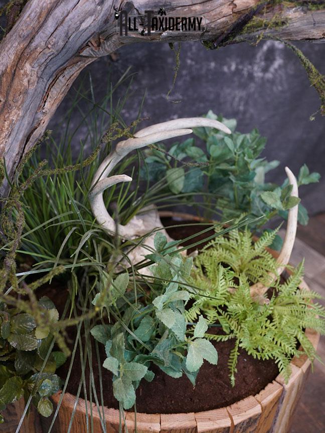 Blue Full Body Wolf Taxidermy Mount for sale SKE 2215 - Image 10