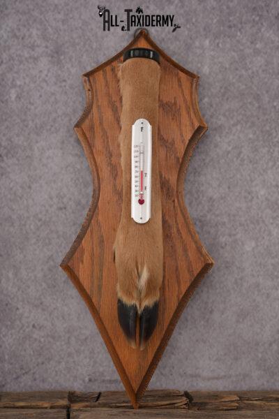 Whitetail Deer Foot Thermometer SKU 2425