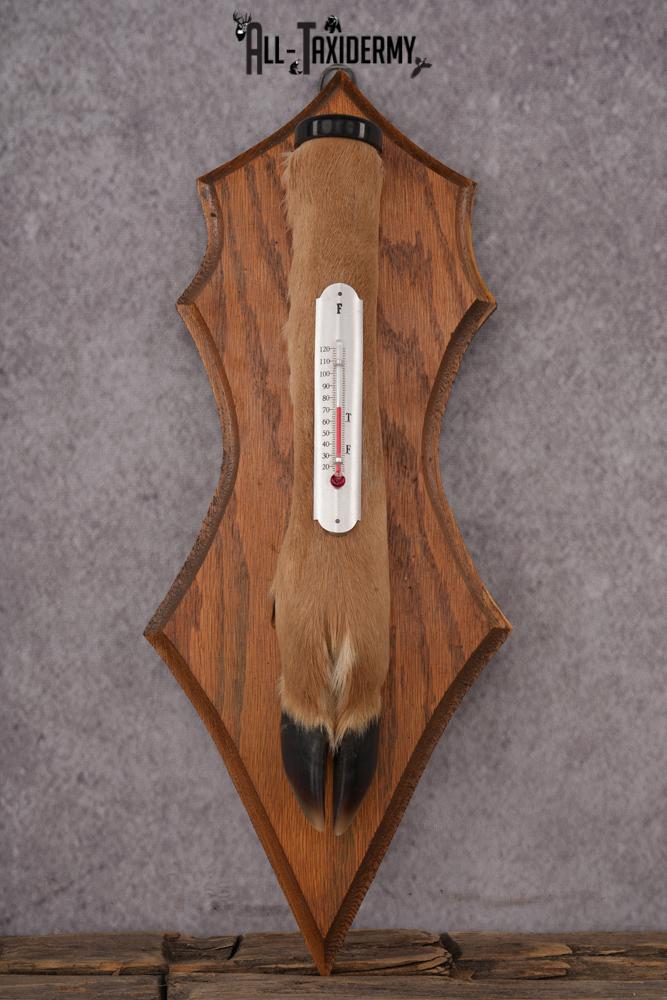 Whitetail Deer Foot Thermometer SKU 2425