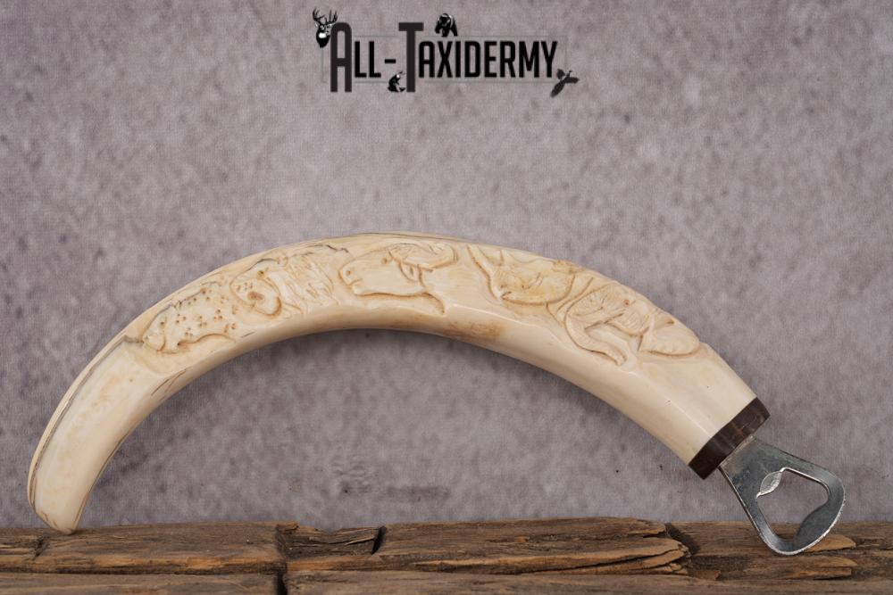 Carved Warthog Tusk Bottle Opener SKU 2427 - Image 5