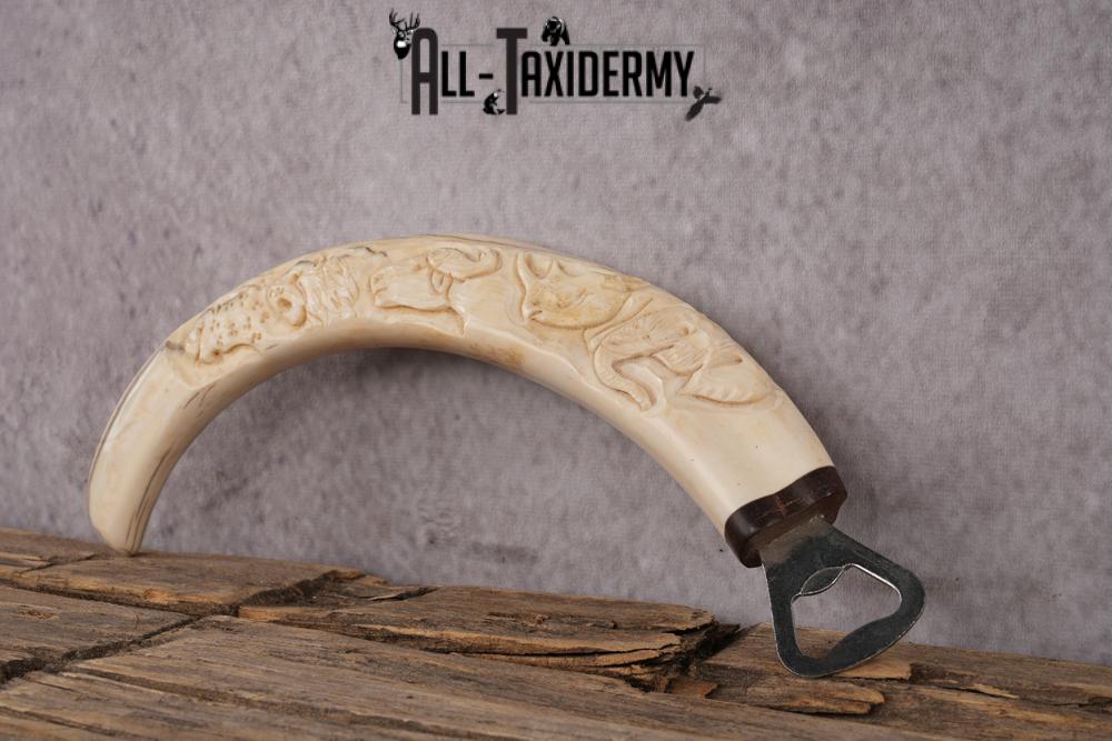 Carved Warthog Tusk Bottle Opener SKU 2427 - Image 4
