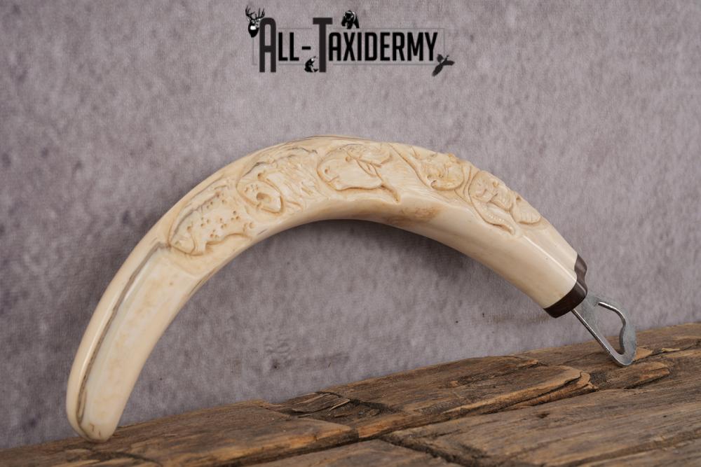 Carved Warthog Tusk Bottle Opener SKU 2427 - Image 3