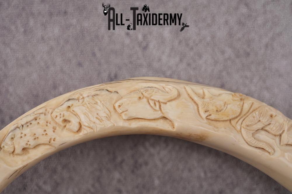 Carved Warthog Tusk Bottle Opener SKU 2427 - Image 2