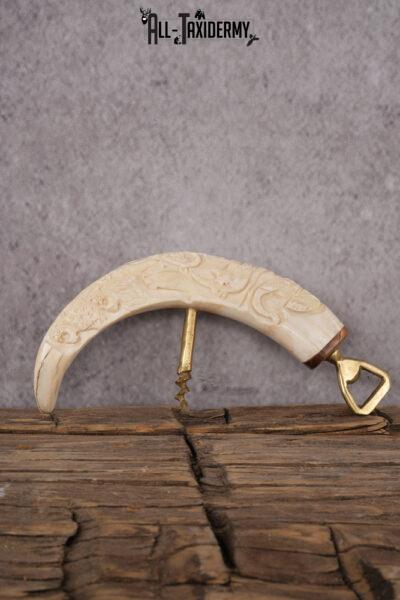 Carved Warthog Tusk Bottle Opener SKU 2428