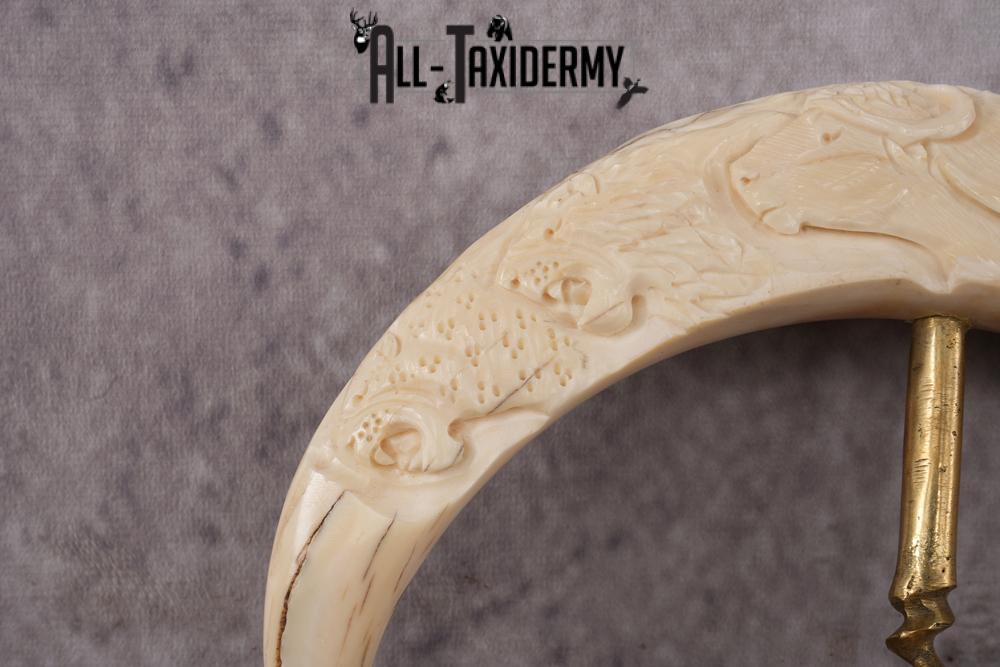 Carved Warthog Tusk Bottle Opener SKU 2428 - Image 3