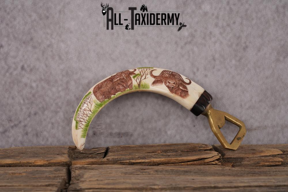 Scrimshaw Warthog Tusk Bottle Opener SKU 2426 - Image 4