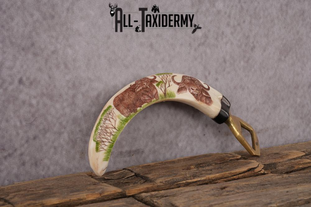 Scrimshaw Warthog Tusk Bottle Opener SKU 2426 - Image 2