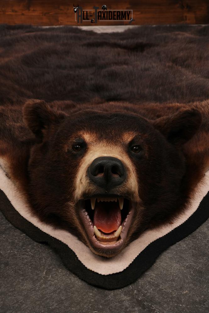 Black bear taxidermy rug SKU 2515 - Image 10