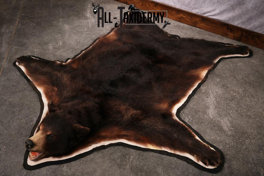 Black bear taxidermy rug SKU 2515