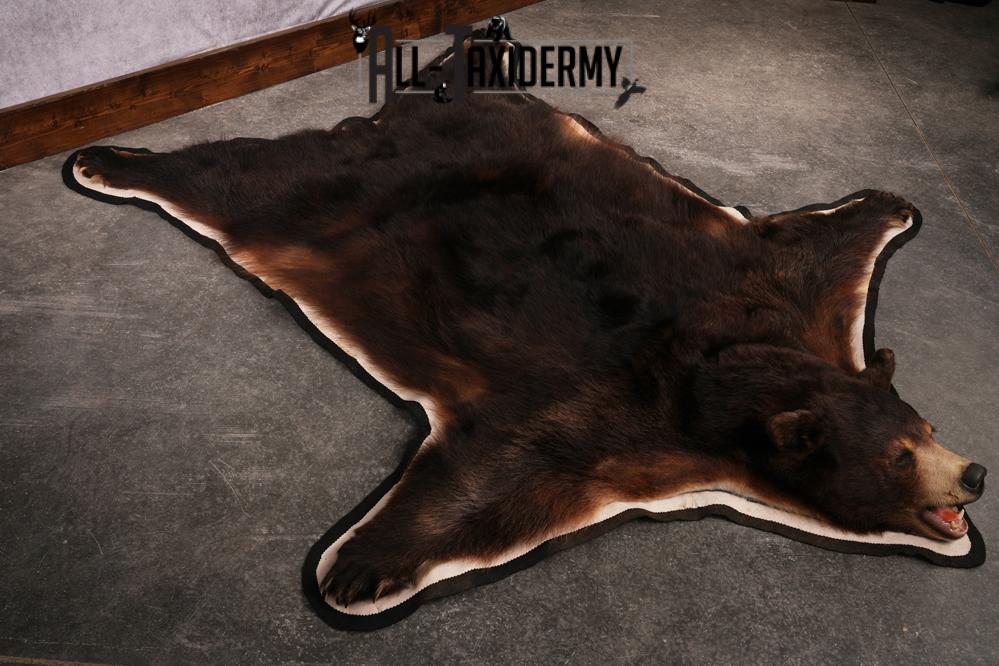 Black bear taxidermy rug SKU 2515 - Image 8