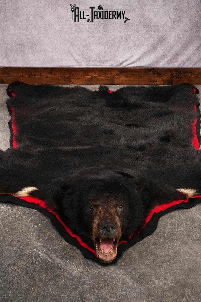 Black Bear Rug SKU 2503 - Image 8