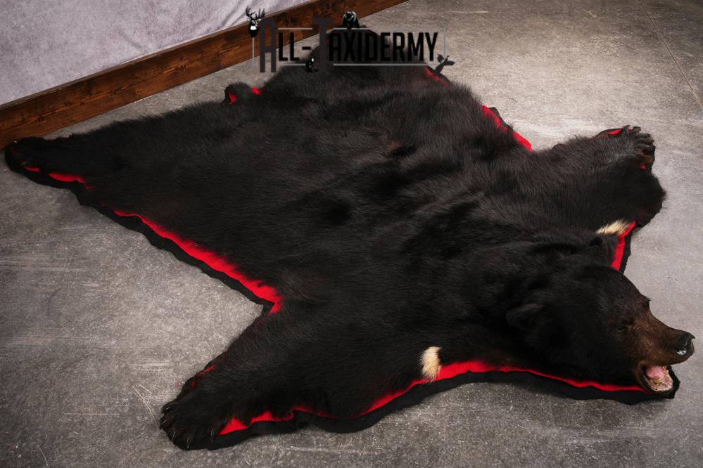 Black Bear Rug SKU 2503 - Image 6