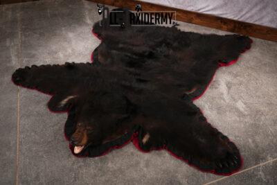 Black Bear Rug SKU 2502