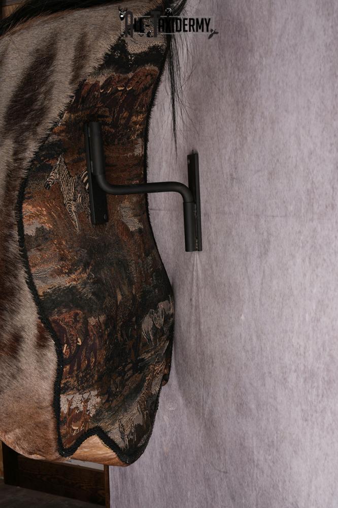 African Blue Wildebeest Wall Pedestal Taxidermy Mount SKU 2484 - Image 5
