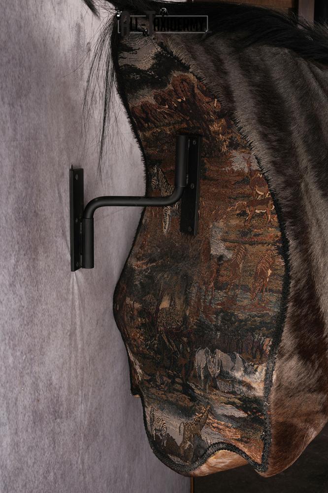 African Blue Wildebeest Wall Pedestal Taxidermy Mount SKU 2484 - Image 2