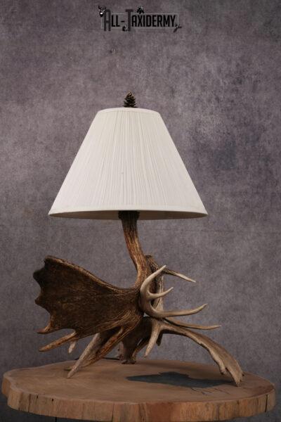 Moose Antler Lamp SKU 2452