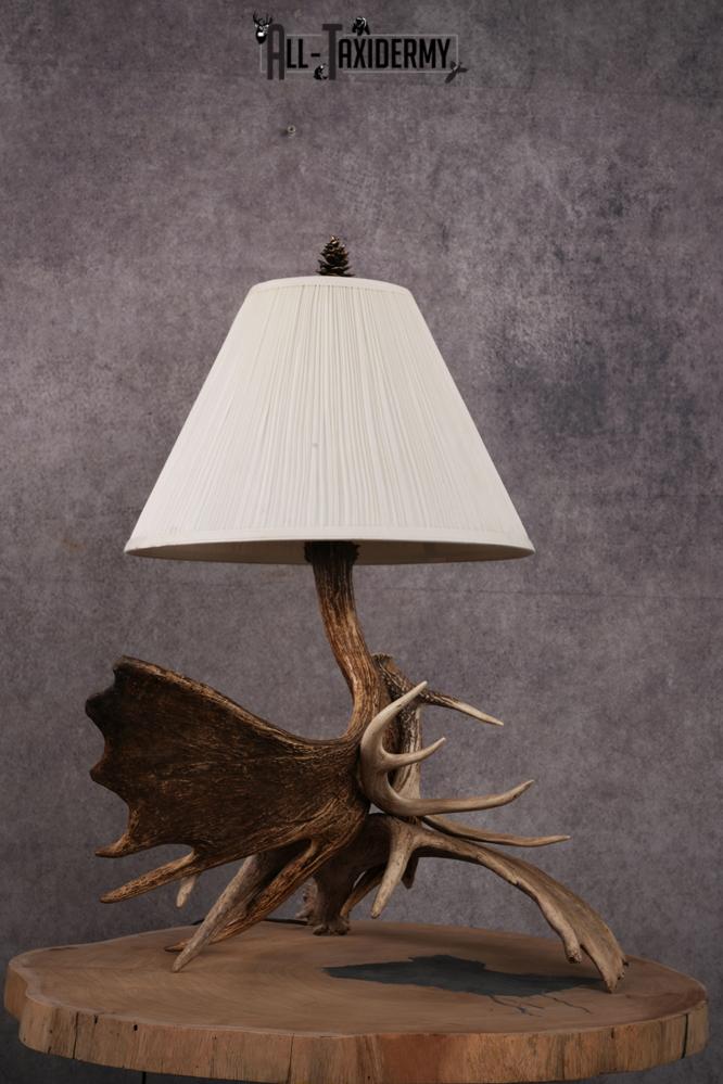 Moose Antler Lamp SKU 2452 - All Taxidermy