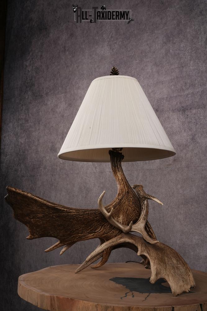 Moose Antler Lamp SKU 2452 - All Taxidermy