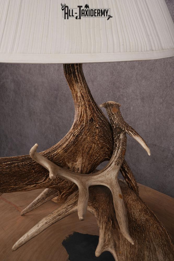 Moose Antler Lamp SKU 2452 - All Taxidermy