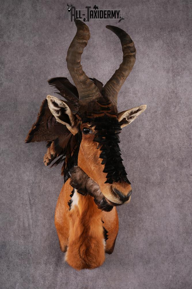 Mythical Creature Sku 2599 All Taxidermy