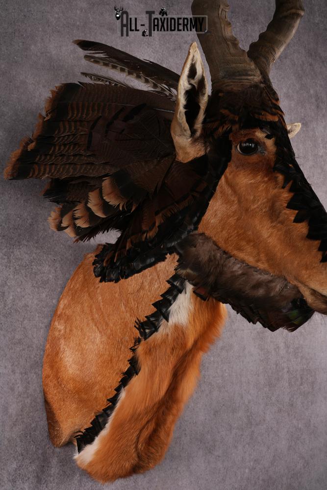 Creature Mounts Mythical Creature SKU 2599 - All Taxidermy