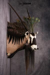 Gemsbok Mythical Taxidermy