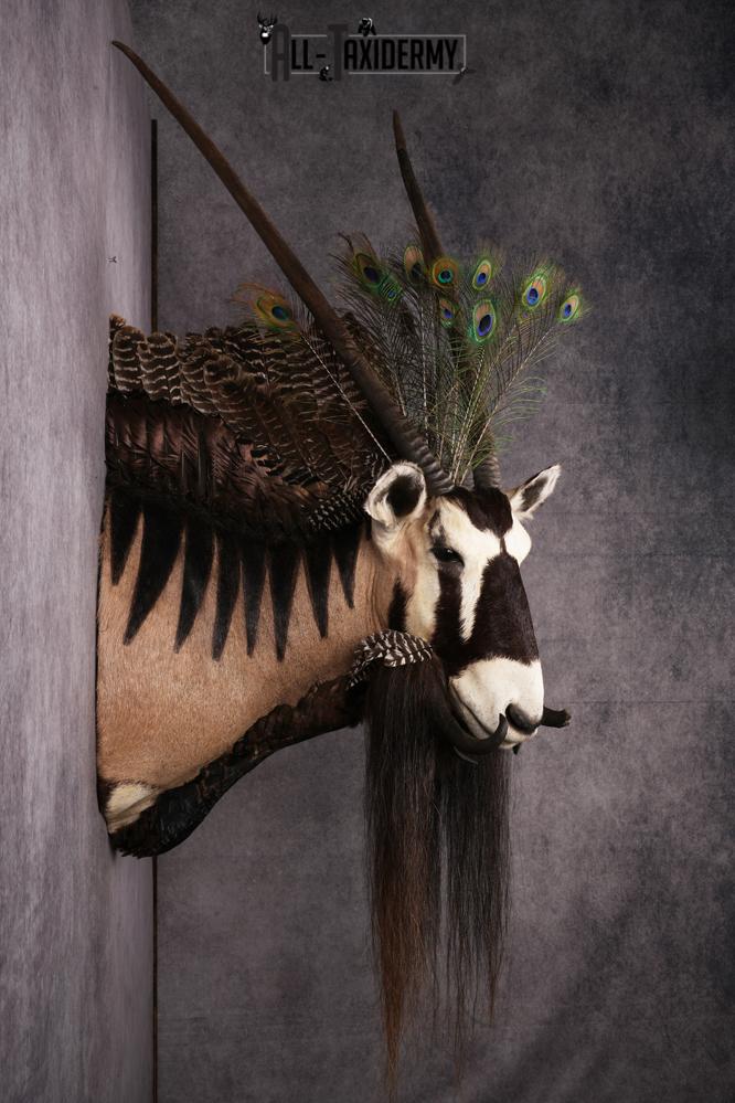 Gemsbok Mythical Taxidermy