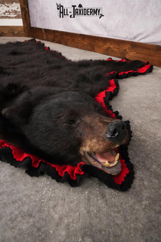 Black Bear Taxidermy Rug SKU 2616 - Image 8
