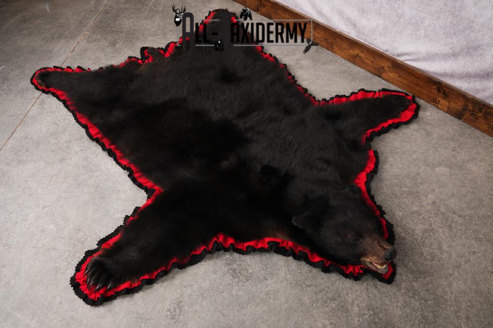 Black Bear Taxidermy Rug SKU 2616