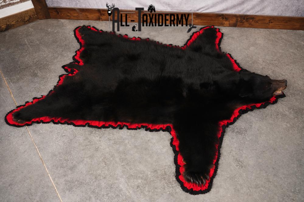 Black Bear Taxidermy Rug SKU 2616 - Image 6