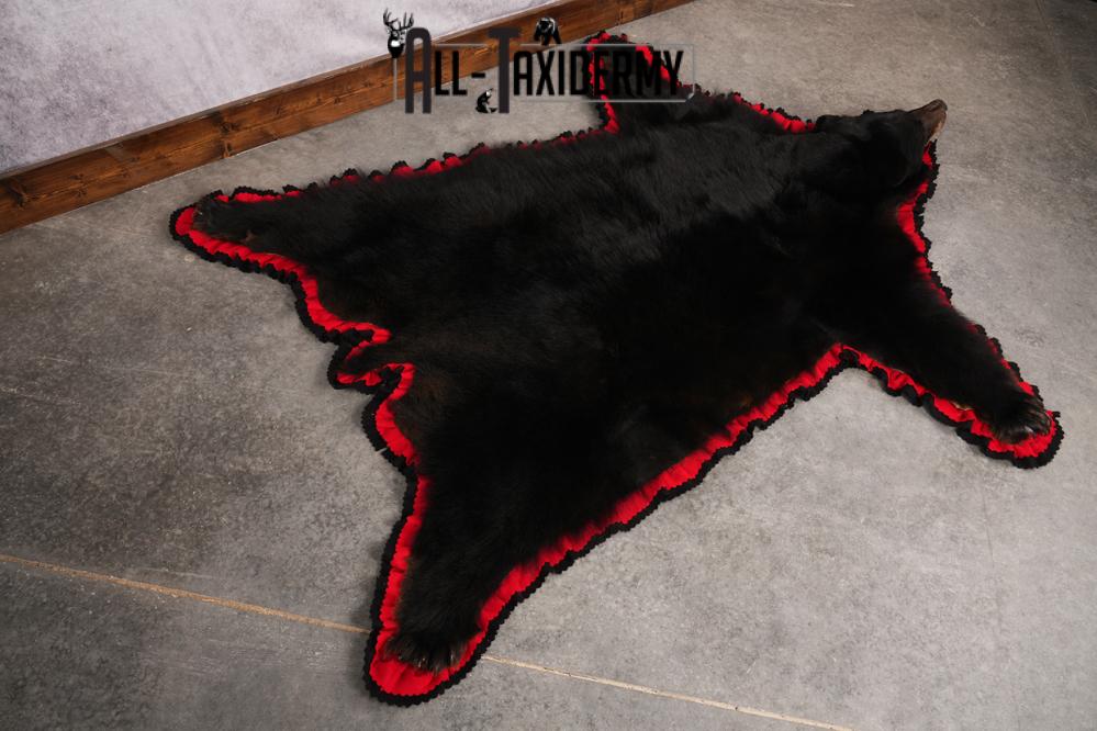 Black Bear Taxidermy Rug SKU 2616 - Image 5