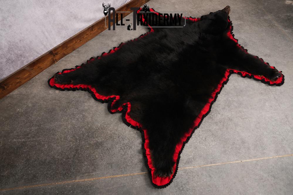 Black Bear Taxidermy Rug SKU 2616 - Image 4