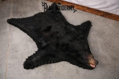Black Bear Taxidermy Rug SKU 2609