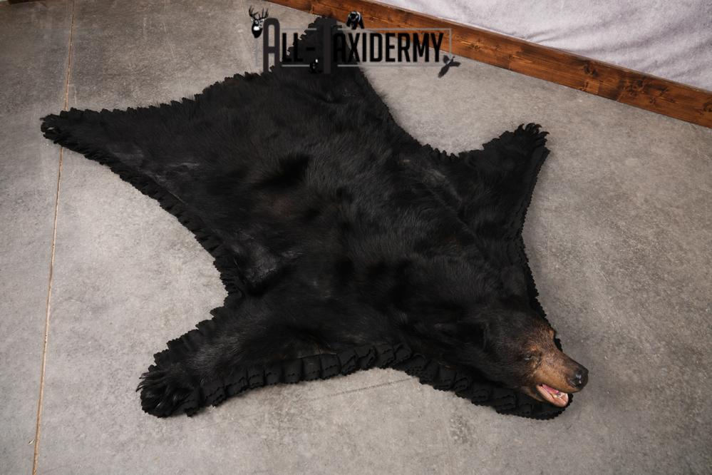 Black Bear Taxidermy Rug SKU 2609