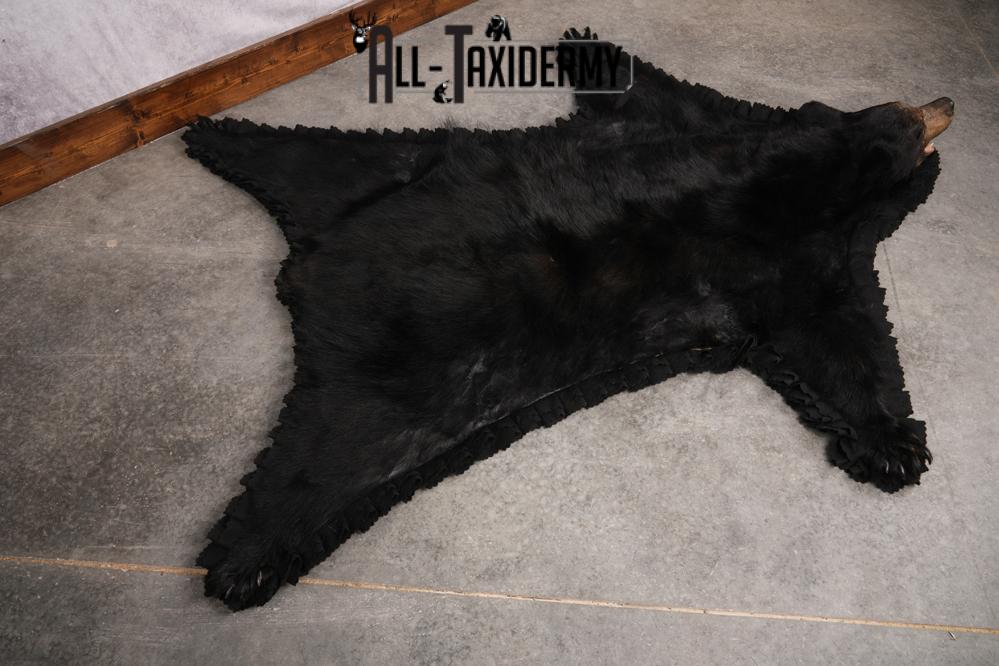Black Bear Taxidermy Rug SKU 2609 - Image 4