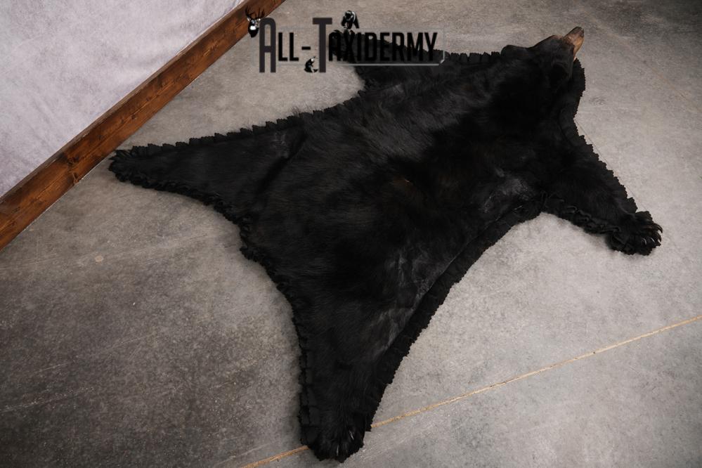 Black Bear Taxidermy Rug SKU 2609 - Image 3